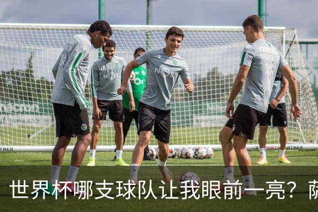 世界杯哪支球队让我眼前一亮？萨内蒂：日本和摩洛哥绝对是代表